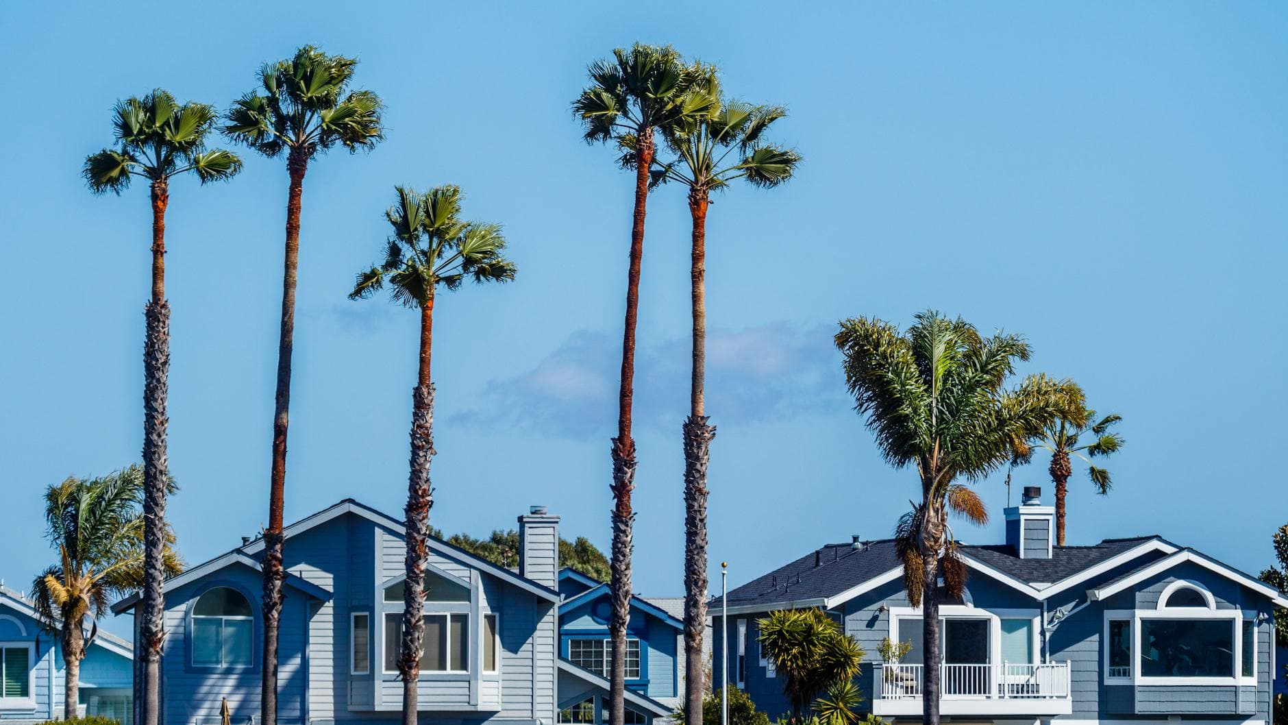 Palm-lined street in a Southern California residential neighborhood