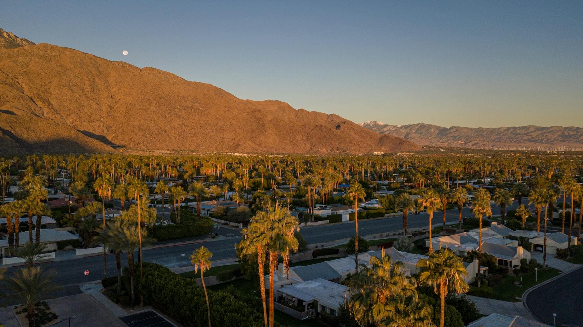 Aerial view of a Southern California residential neighborhood lined with palm trees