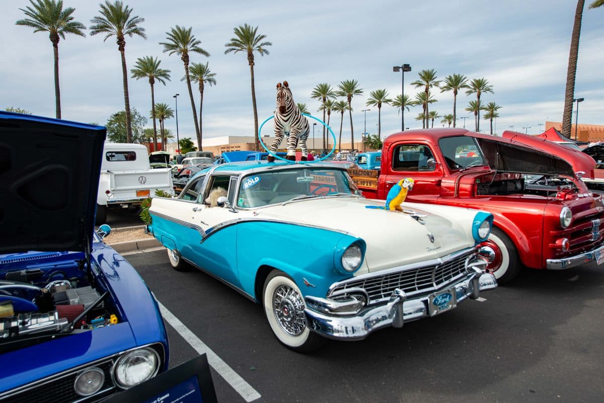 Vintage classic cars on display at an outdoor car show with palm trees behind them