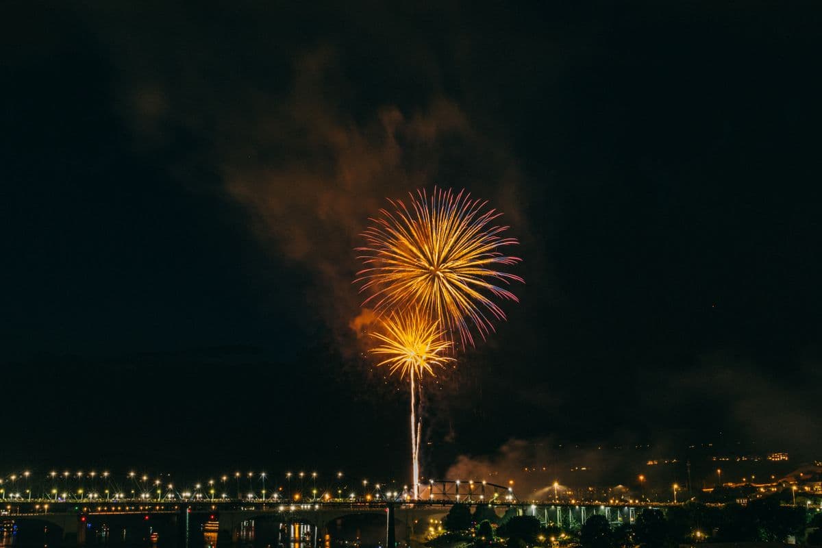 Bright fireworks bursting against a dark night sky