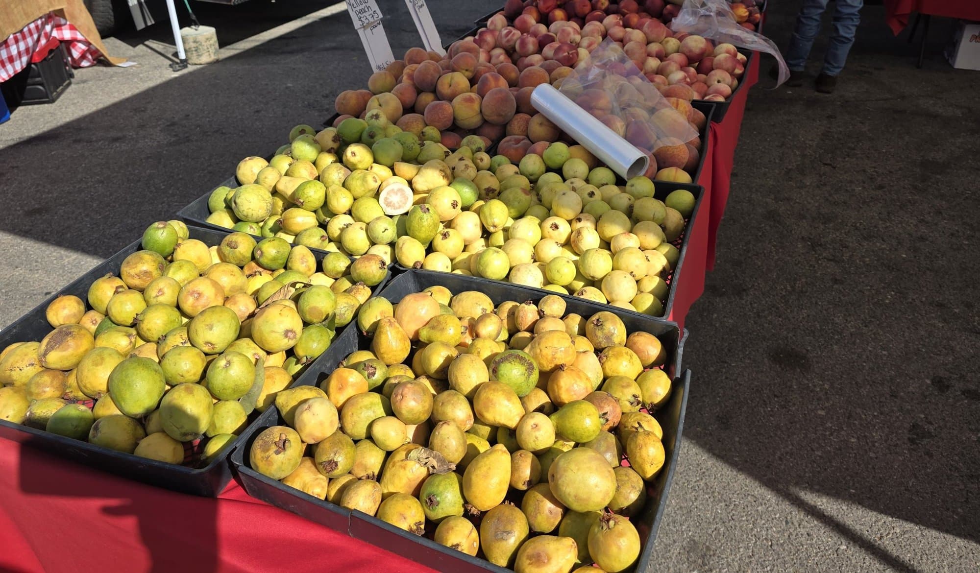 Guavas, peaches and nectarines piled in bins at the Saturday Camarillo Farmers Market