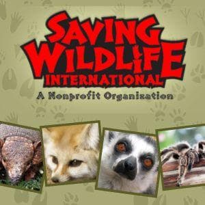 Saving Wildlife International! Morning Show