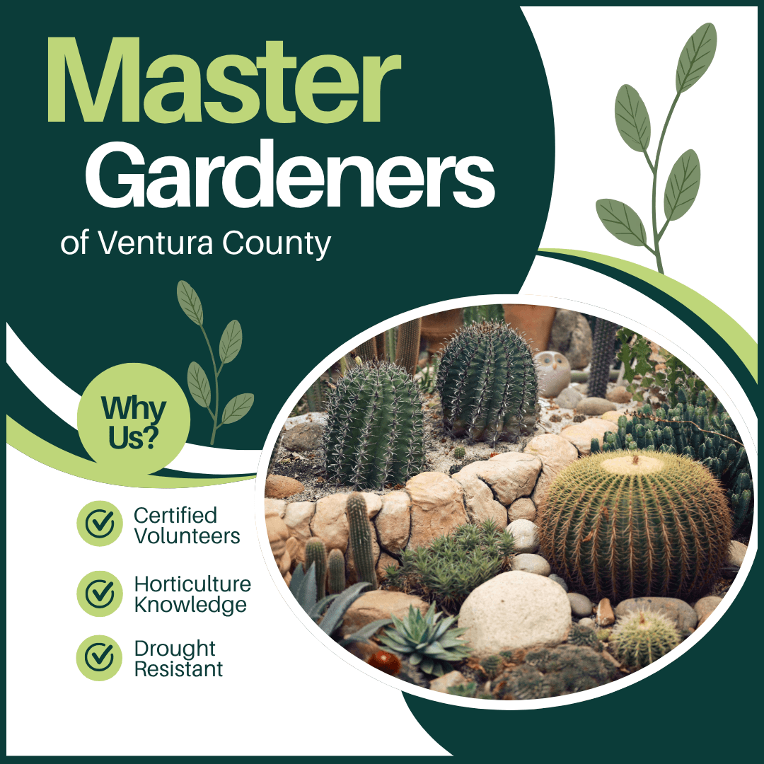 Master Gardeners at Oak Park Library