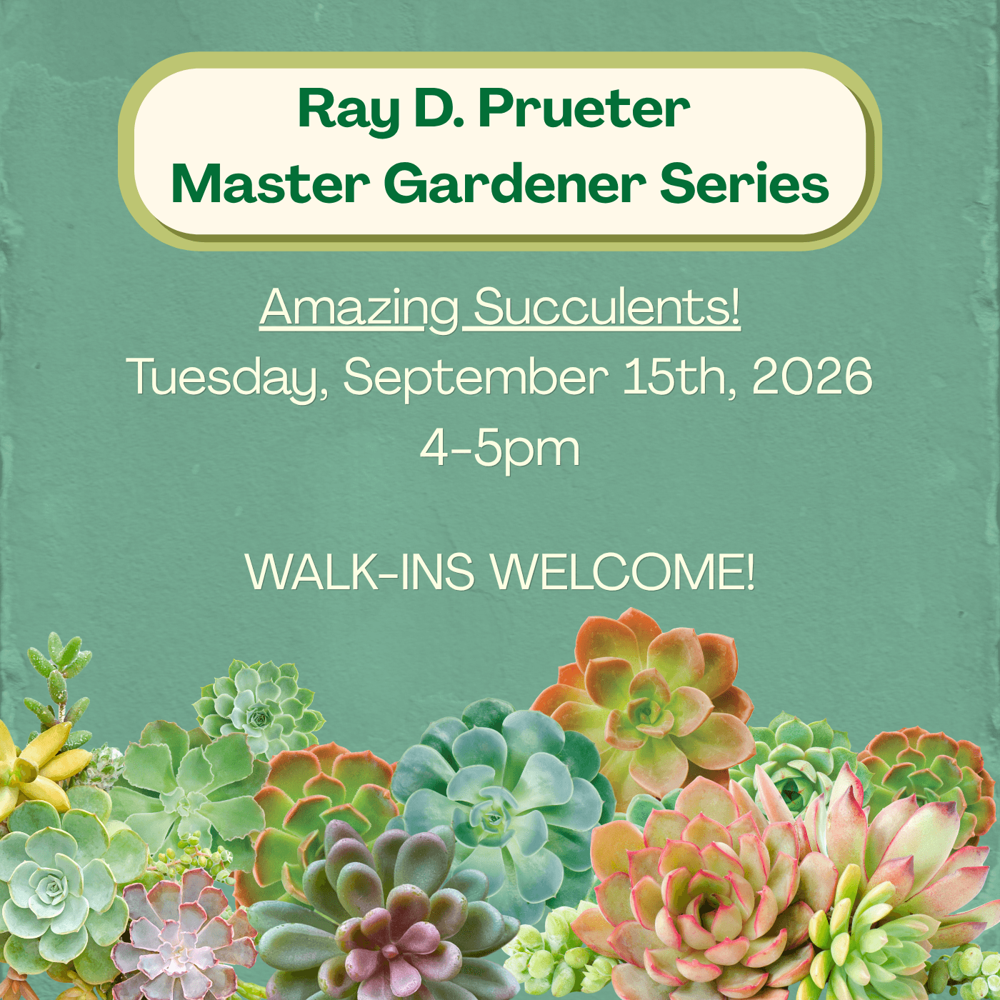Master Gardeners Class: Amazing Succulents!
