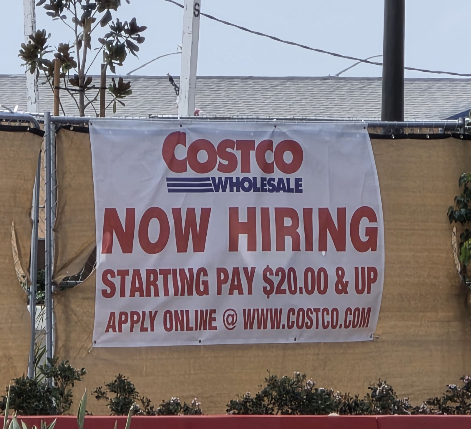 A Costco Wholesale banner on the Camarillo construction fence reading Now Hiring, Starting Pay $20.00 and Up, Apply Online at www.costco.com
